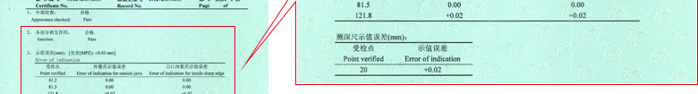 长度向日葵污视频APP下载证书报告结果页