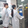 严格把控向日葵污视频APP下载精度图片